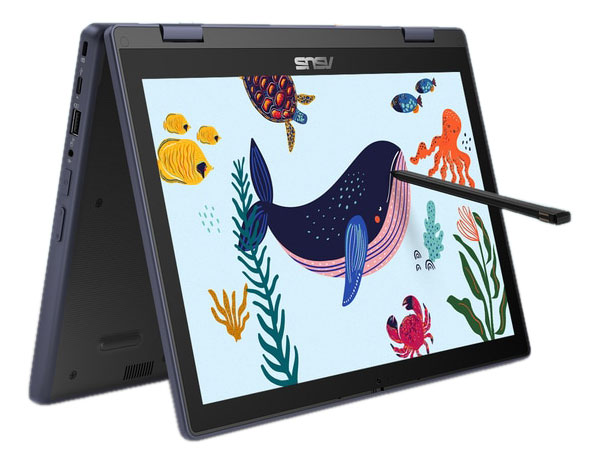 ASUS BR1204FGA - Convertible