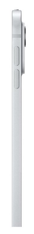 APPLE iPad Pro
