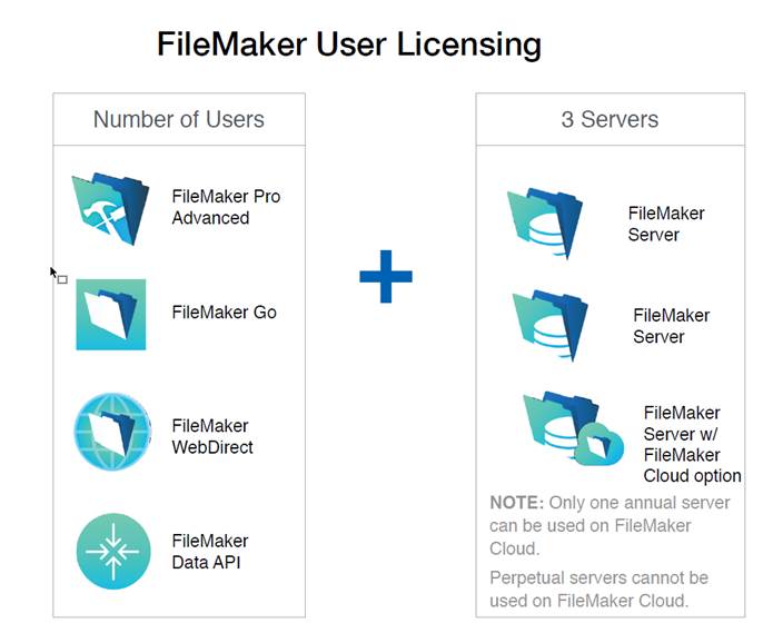 FileMaker Perpetual User License